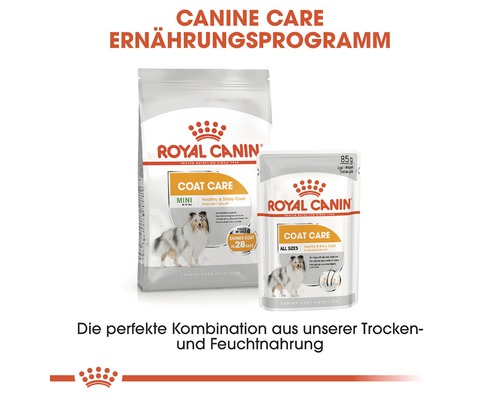 Royal Canin Coat Care dog food, dry and wet food