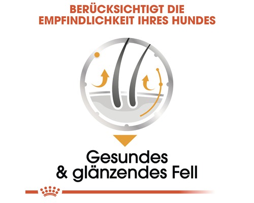 Symbol für gesundes und glänzendes Fell für Hunde