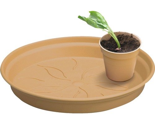 Pflanzenuntersetzer mit Topf und Pflanze