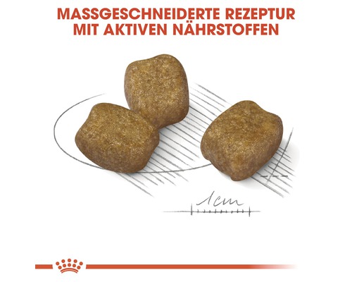 Drei Kroketten Hundefutter mit aktiven Nährstoffen