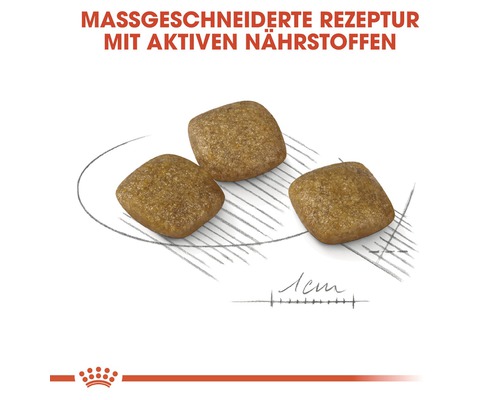 Drei Stücke Hundefutter auf einem Teller mit einem Lineal.