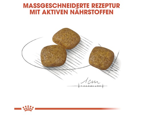 Drei Stücke Hunde Trockenfutter auf einer schematischen Zeichnung.