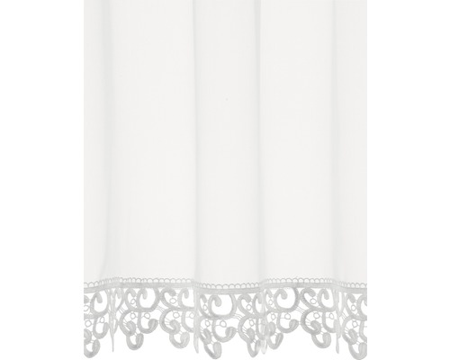 Gardine mit Spitzenbordüre