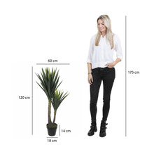 Dekorative Kunstpflanze Yucca, circa 120 cm hoch, mit Maßangaben.
