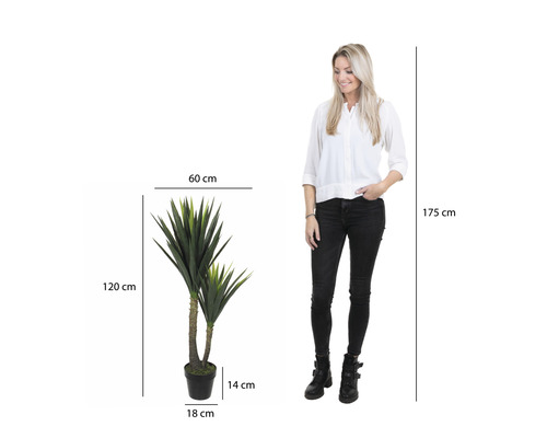 Dekorative Kunstpflanze Yucca, circa 120 cm hoch, mit Maßangaben.