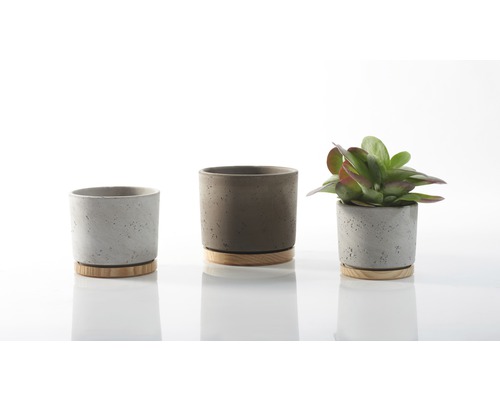 Drei Blumentöpfe aus Beton mit Holzuntersetzern, einer mit Pflanze