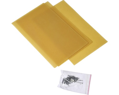 Zwei Bienenwachsplatten und eine Packung Nägel für den Bienenstock