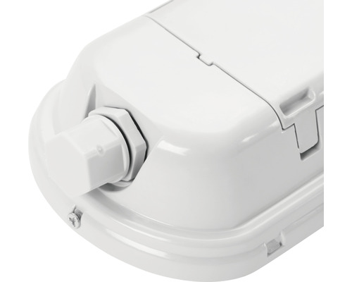 Detailansicht einer Feuchtraumleuchte