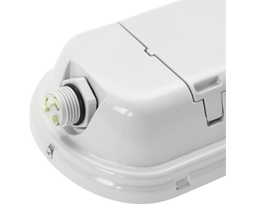 Detailaufnahme einer Feuchtraumleuchte mit Kabelverschraubung