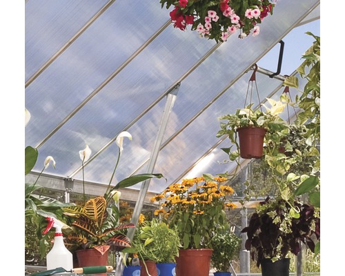 Innenansicht eines Gewächshauses mit Pflanzen und Gartengeräten