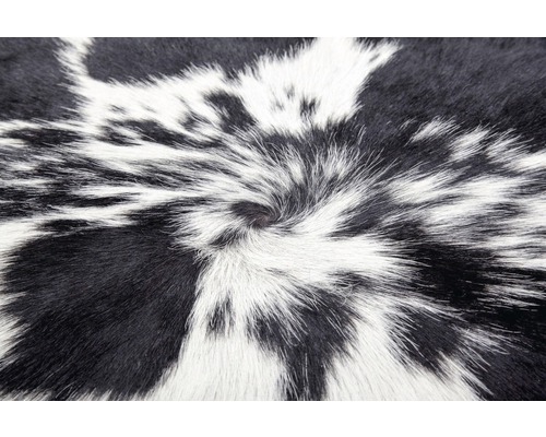 Nahaufnahme von Kuhfellteppich mit Fleckenmuster