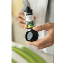 Langzeitdünger für Grünpflanzen Lechuza Perfect Leaf 150 g