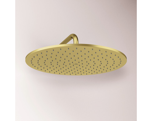 Goldene Regendusche für das Badezimmer