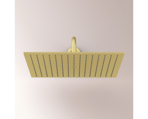 Viereckiger Duschkopf mit Anschluss