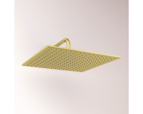 Quadratischer Duschkopf mit Brausearm