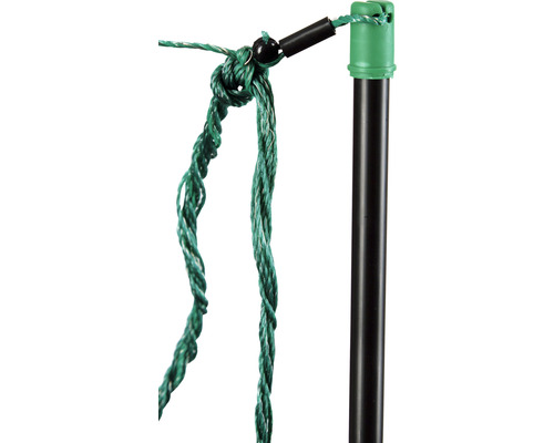 Detailansicht eines Rankhilfenseils mit Knotendetail und Stab