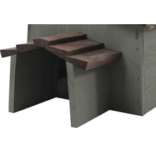 Detailansicht eines Holz-Nistkastens mit Treppe