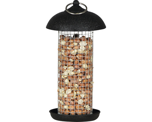 Vogelhaus aus Metallgitter gefüllt mit Erdnüssen