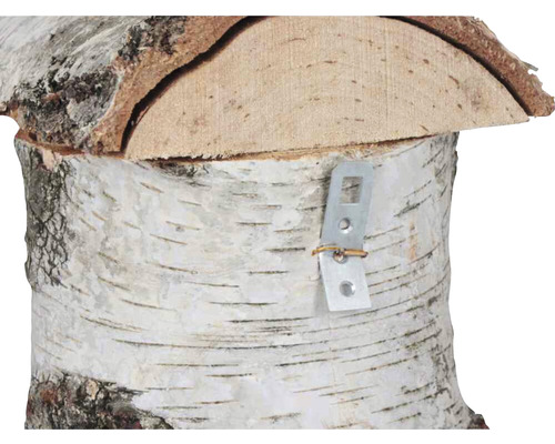 Detailansicht eines Birkenholz Vogelhauses mit Metallaufhängung