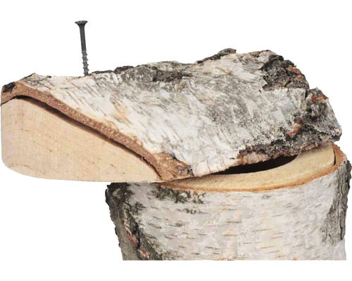 Birkenholzscheit mit Schraube