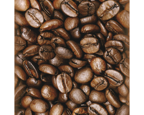 Nahaufnahme von Kaffeebohnen