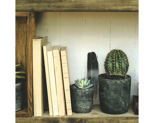 Dekoratives Regal mit Büchern, Sukkulenten und Kaktus im Topf