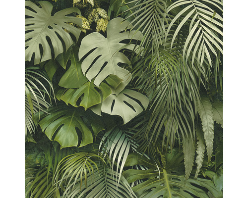 Dichte Anordnung von tropischen Blättern als Dekoration