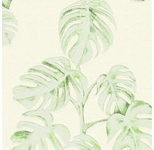 Tapete mit Monstera-Blatt-Motiv