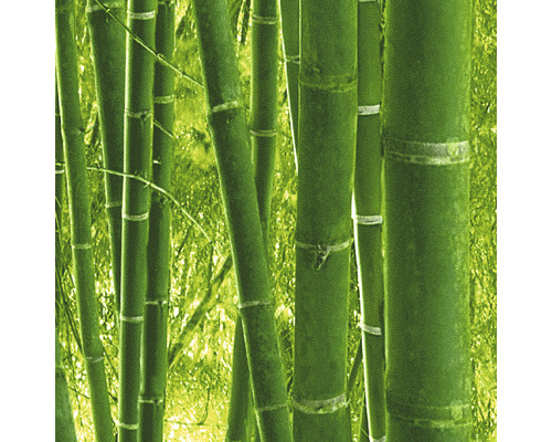 Bambusstangen im Garten