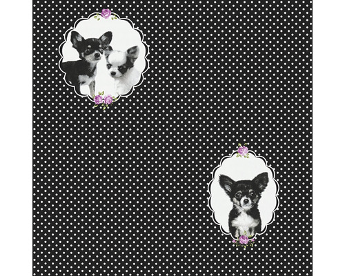 Vliestapete 35851-2 Little Stars schwarz Chiwawa Tapete mit Chihuahua-Motiven und Punktmuster