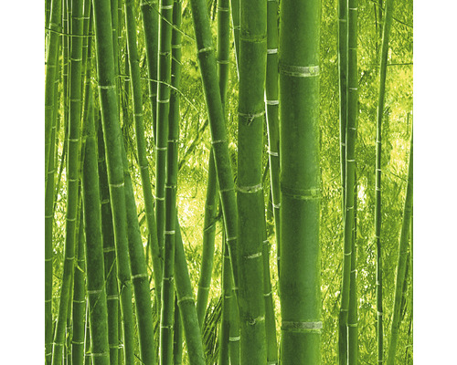 Bambuswald Tapete