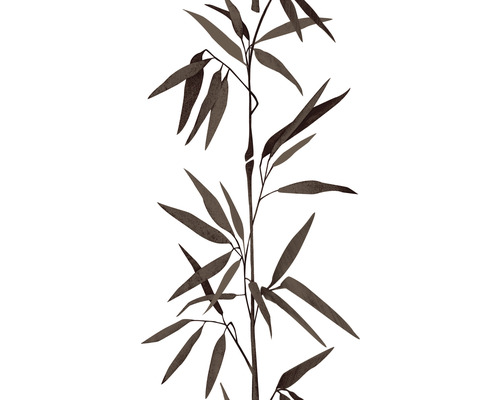 Bambus Tapetenmuster
