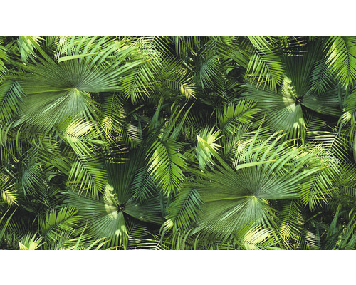 Dichte Ansammlung verschiedener grüner Palmenblätter