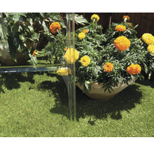Gartenszene mit Blumen in Töpfen und Kunstrasen