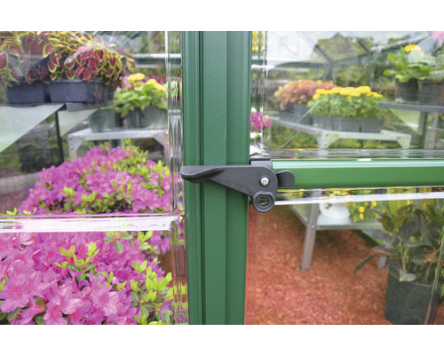 Detailansicht eines Gewächshauses mit Pflanzen und Fensterriegel