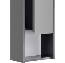 Hängeschrank mit Tür und Ablagefläche