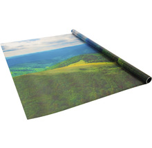 Fensterfolie Venilia Vitrostatic Feldberg 67,5x150 cm