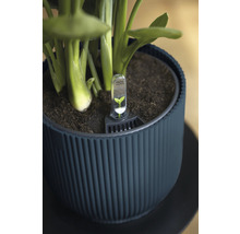 Blumentopf mit Feuchtigkeitsmesser im Erdreich