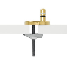 REIKA WC-Sitz MINO weiß Scharniere gold poliert mit Absenkautomatik und Quick&Clean universell passend
