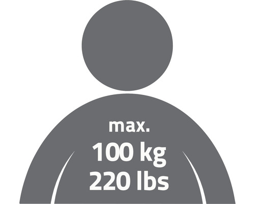 Symbol für maximale Gewichtsbelastung von 100 kg