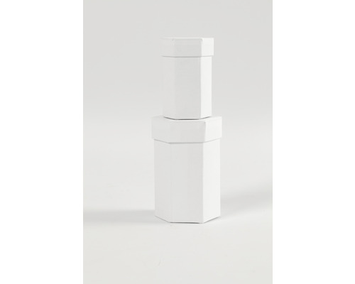 Zwei sechseckige Pappschachteln gestapelt