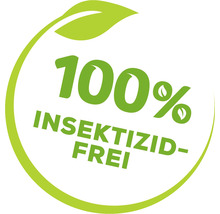 Kirschfruchtfliegen-Falle Solabiol 5 Stk