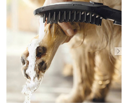 Hundepfote wird mit einer Bürste und Wasser gereinigt