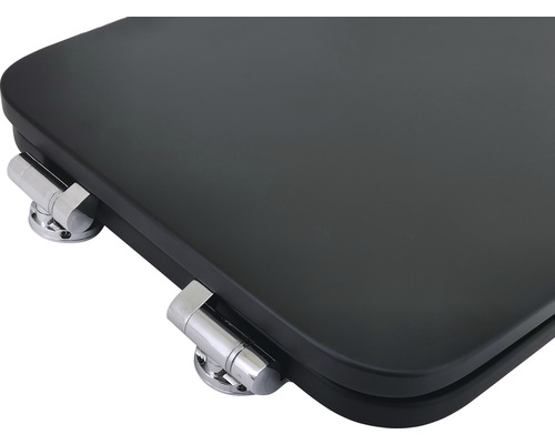 Toilettendeckel mit Chromscharnieren