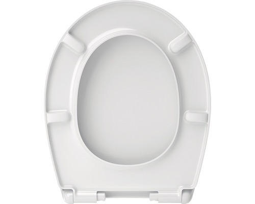 Toilettendeckel aus Kunststoff