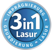 Remmers HK-Lasur pinie lärche 10 l-thumb-6