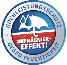 Remmers HK-Lasur pinie lärche 10 l-thumb-5