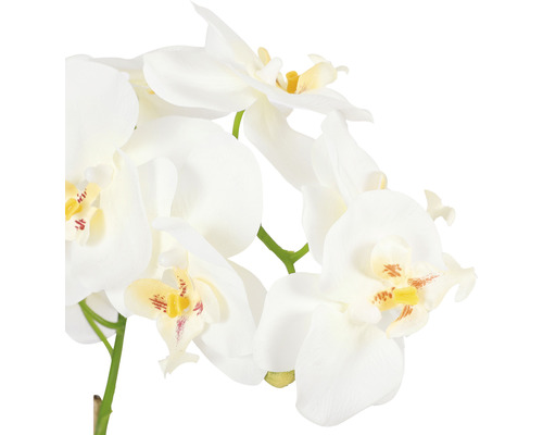 Kunstblume Orchidee H 60 cm weiß | HORNBACH