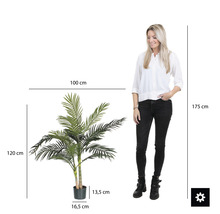 Abmessungen einer künstlichen Arekapalme im Topf neben einer Frau