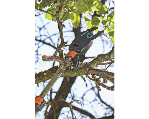 Baumpfleger schneidet Ast mit einer Astschere von Gardena